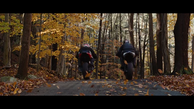 Wall Street Money Never Sleeps clip — Wall Street Money Never Sleeps