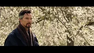 Bearded man standing by flowering tree — Doctor Strange 2