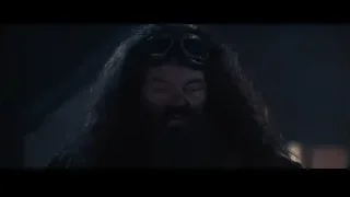 Close-up of man's face with goggles — Harry Potter and the Philosophers Stone