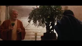 man in orange robe with large plant — Gladiator