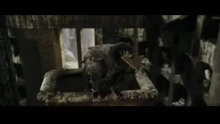 owl perched on metal bucket in dark room — Harry Potter and the Goblet of Fire