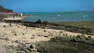 People walking and swimming on rocky beach — Elon Musk: Return to Space