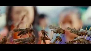 young girls holding insects on sticks — The Karate Kid